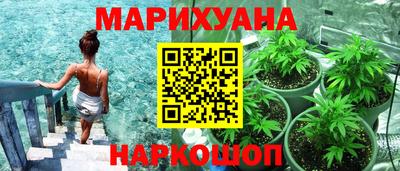 ГАЛЛЮЦИНОГЕННЫЕ ГРИБЫ Кандалакша