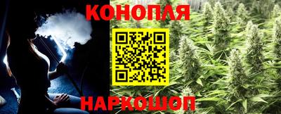 дурь Камышлов