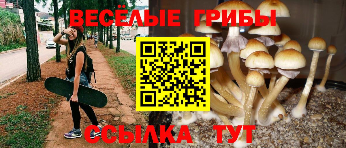 Галлюциногенные грибы GOLDEN TEACHER Менделеевск