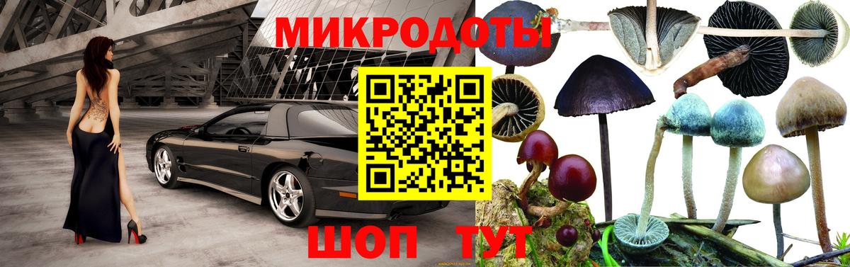 Псилоцибиновые грибы Cubensis  Вход с VPN  Псилоцибиновые грибы GOLDEN TEACHER  Менделеевск 